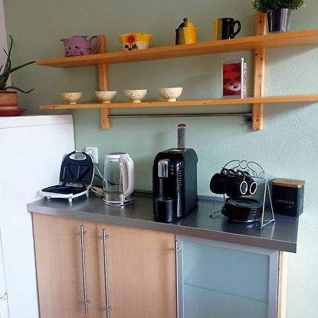 Appartement Na Pekarne à Železná Ruda Extérieur photo