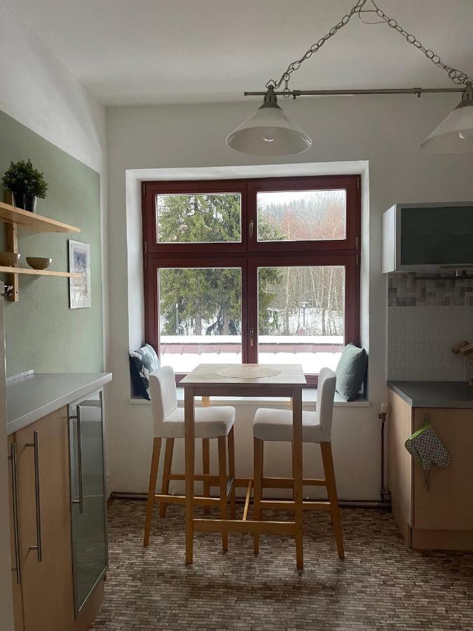 Appartement Na Pekarne à Železná Ruda Extérieur photo